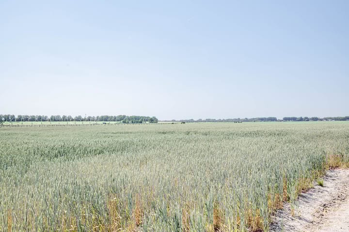 Foto 51 van Hoofdweg 511