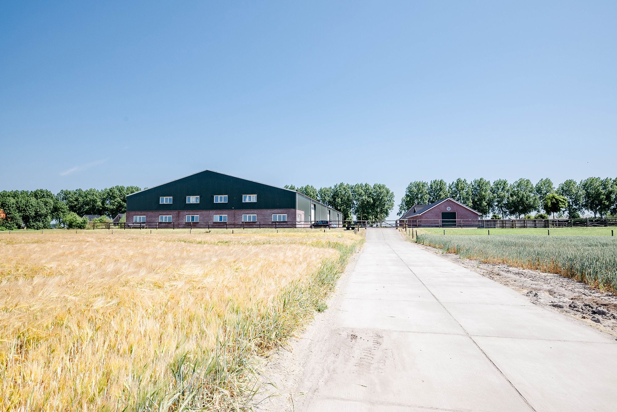 Foto 54 van Hoofdweg 511