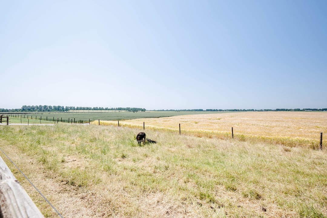 Foto 56 van Hoofdweg 511