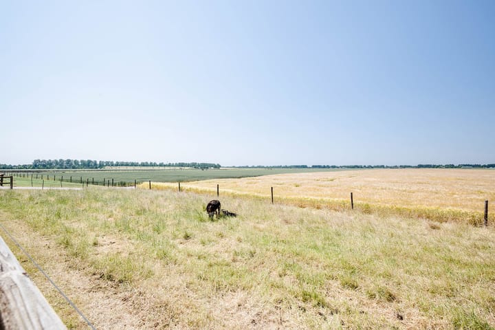 Foto 56 van Hoofdweg 511