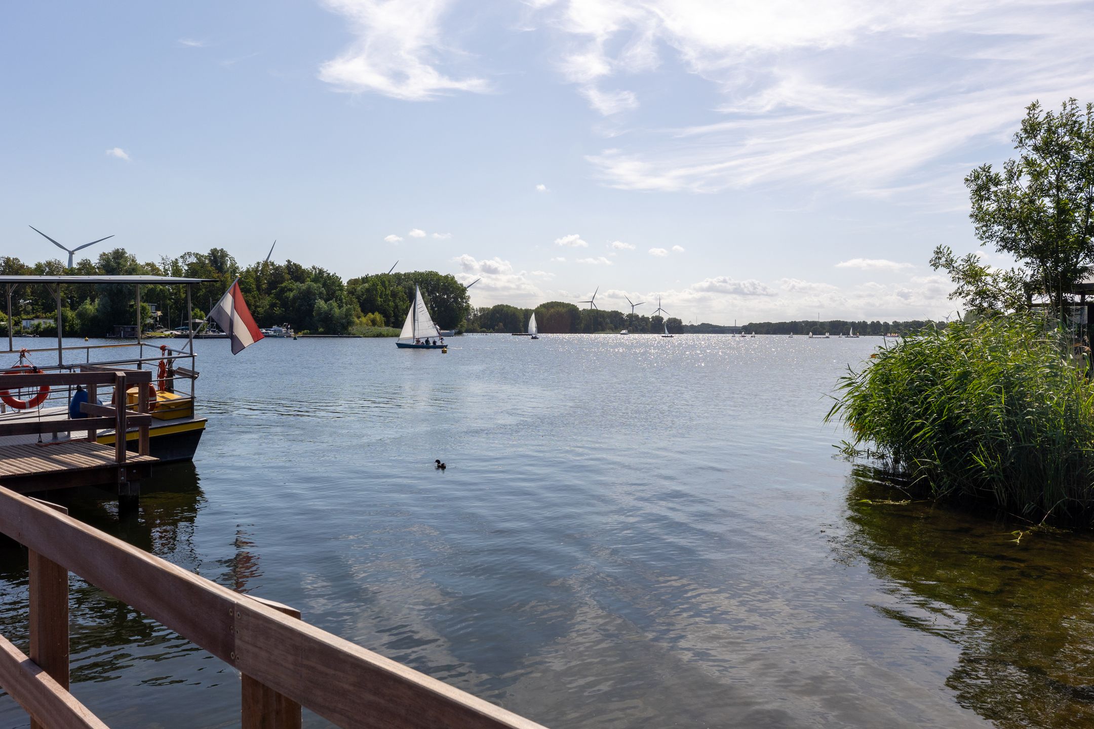 Foto 27 van Rochus Meeuwiszweg 37