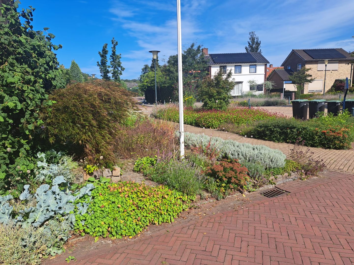 Foto 5 van Jan Steenstraat kavel 2