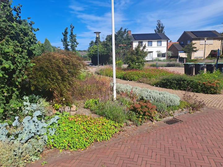 Foto 5 van Jan Steenstraat kavel 2