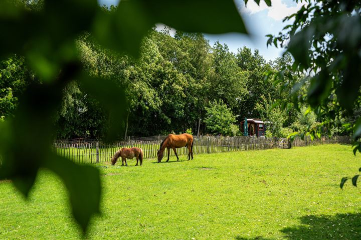 Bekijk foto 73 van De Streek 23