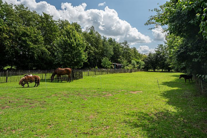 Bekijk foto 72 van De Streek 23