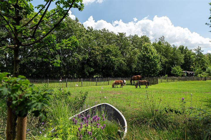 Bekijk foto 74 van De Streek 23