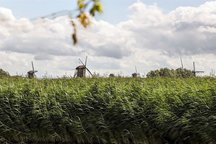 Bekijk foto 41 van Molenstraat 158