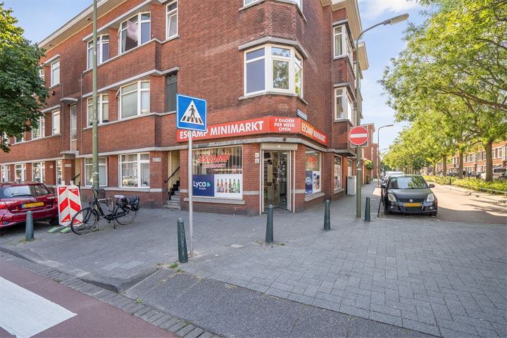 View photo 20 of Driebergenstraat 71