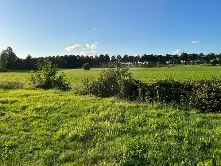 Photo 27 of Broekhuizen 5