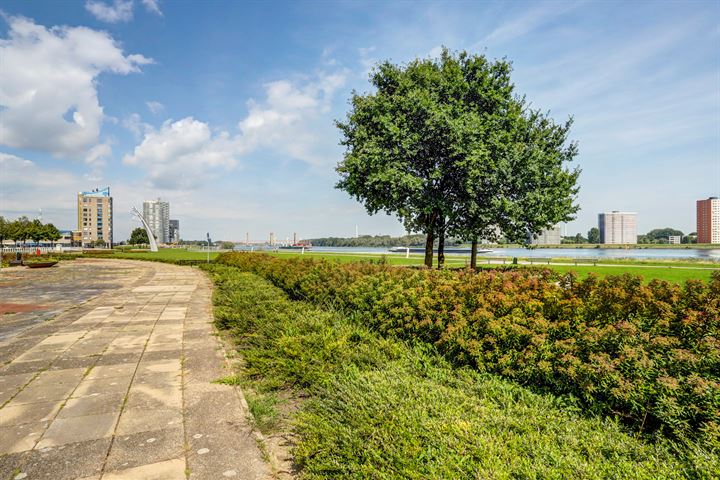 Bekijk foto 41 van Maasboulevard 66