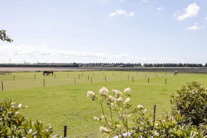 Bekijk foto 51 van Kreekdijk 41