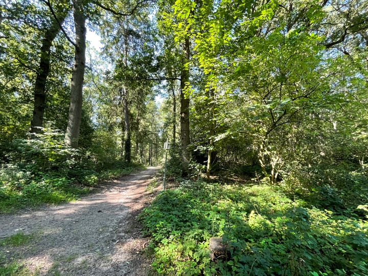 Foto 22 van Houtlaan 119