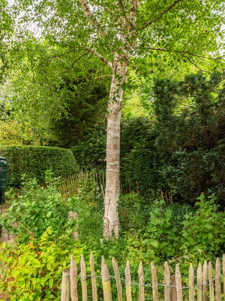 Foto 61 van Natteweg 13