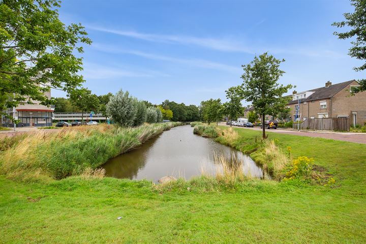 Bekijk foto 46 van Stadhouderslaan 17