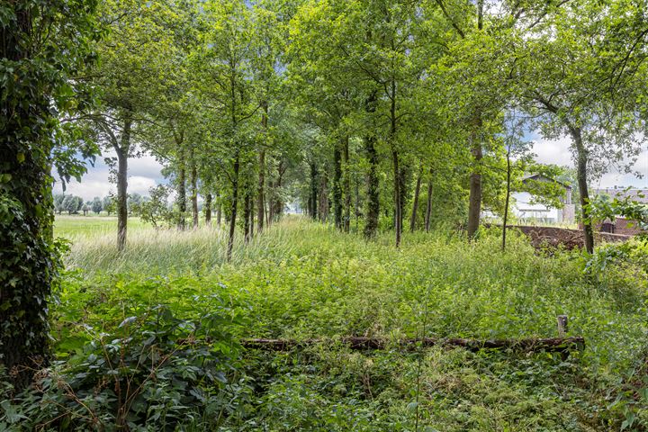 Bekijk foto 14 van Oude Wezeveldseweg bij 18