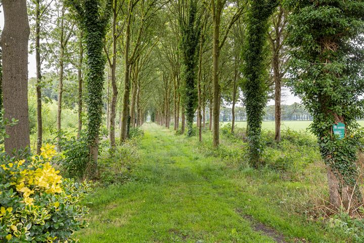 Bekijk foto 15 van Oude Wezeveldseweg bij 18