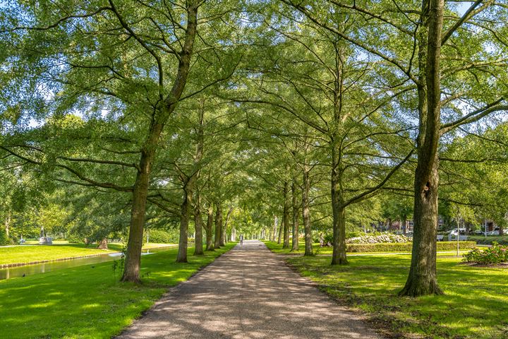 Bekijk foto 42 van Groeninxstraat 1