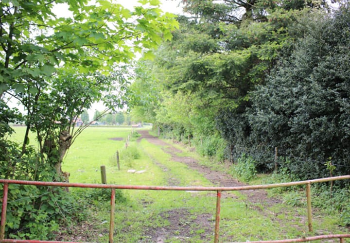 Foto 2 van de Berg 5