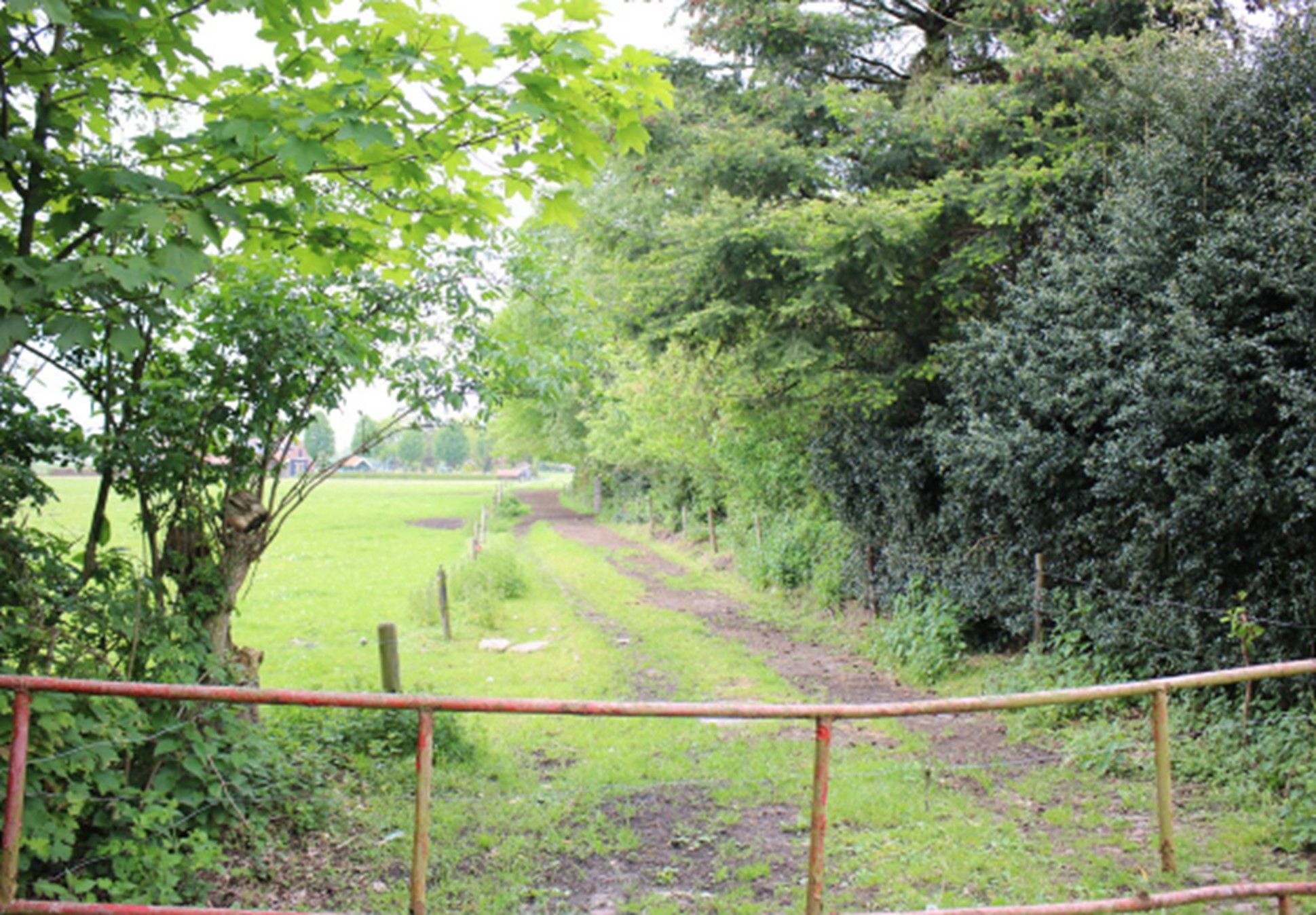 de Berg, 5, Schijf, 4721SG, Noord-Brabant, Nederland 5 