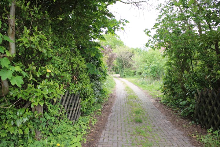 Foto 5 van de Berg 5