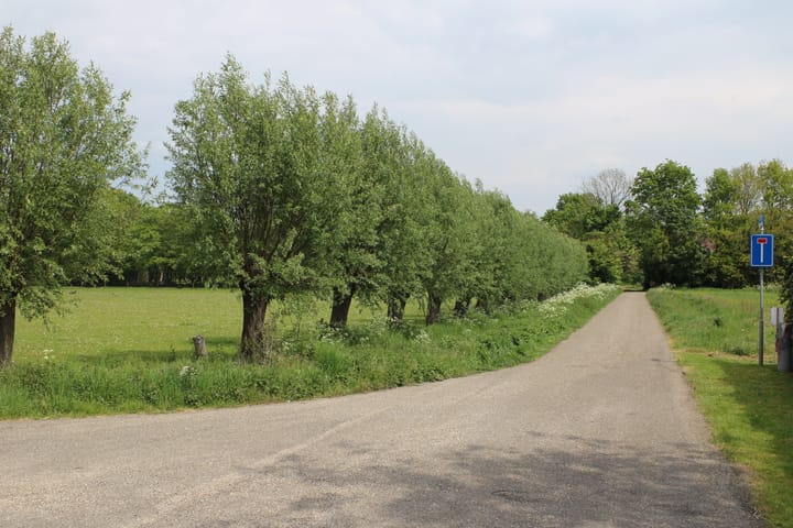 Foto 7 van de Berg 5