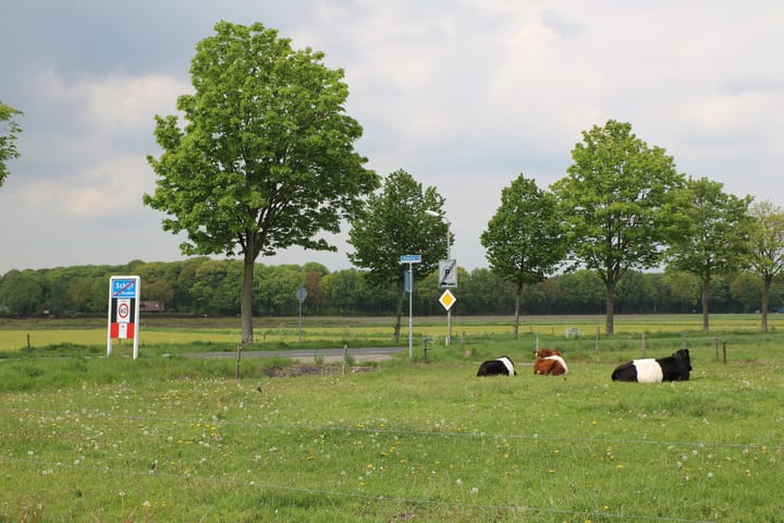 Foto 8 van de Berg 5