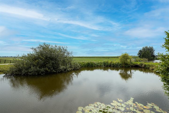 Bekijk foto 65 van Dorp 94-C