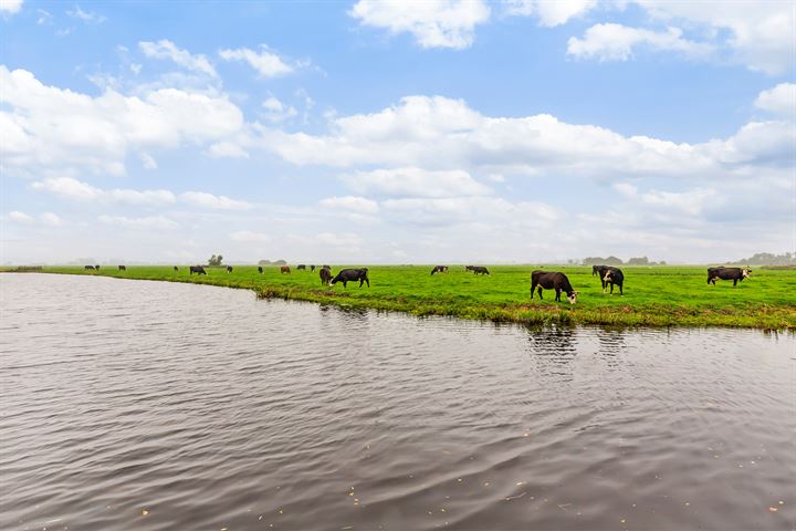 Bekijk foto 4 van Kaagjesland 20-.