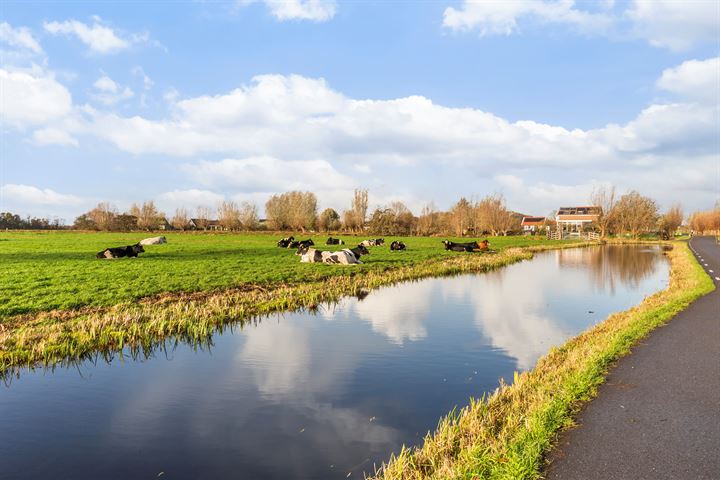 Bekijk foto 32 van Kaagjesland 20-.