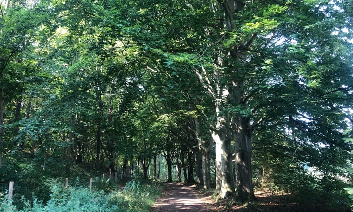 Photo 2 of Slingerpad 8 (Bouwnr. 34)