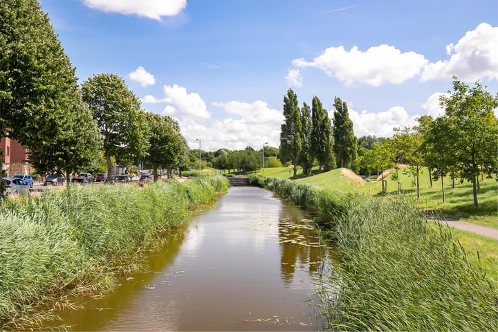 Bekijk foto 42 van Forelvijver 2