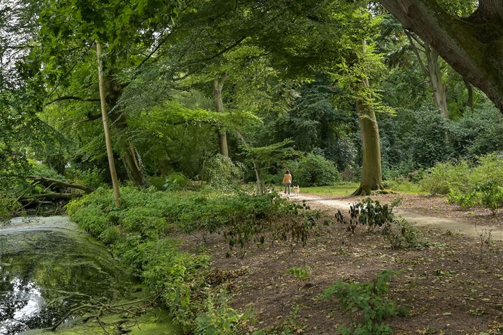 Bekijk foto 48 van Van Wijngaerdenstraat 37