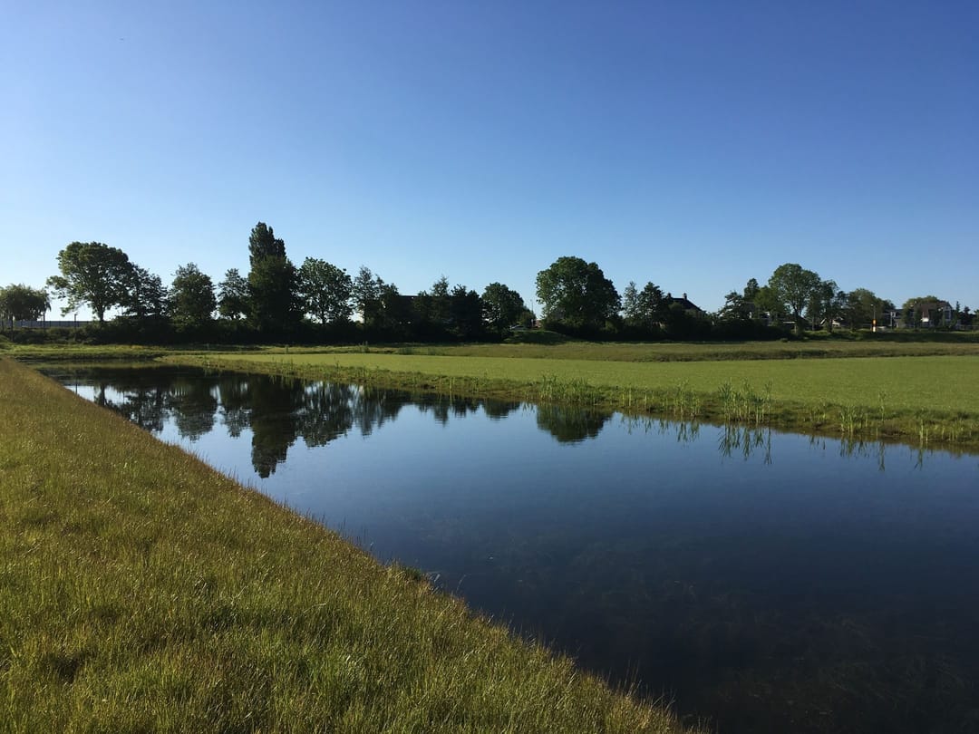 Foto 8 van Rietkade 2