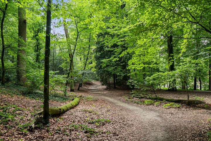 Bekijk foto 30 van Ringweg-Randenbroek 84-C