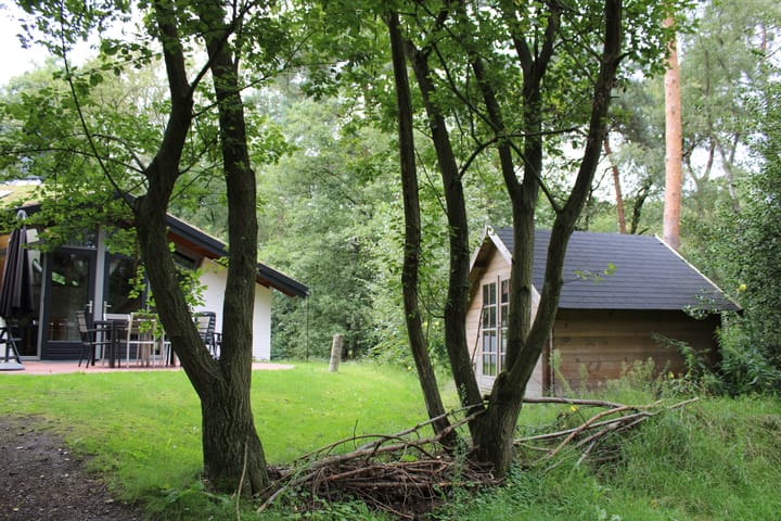 Foto 28 van Bosvilla 8 | 60