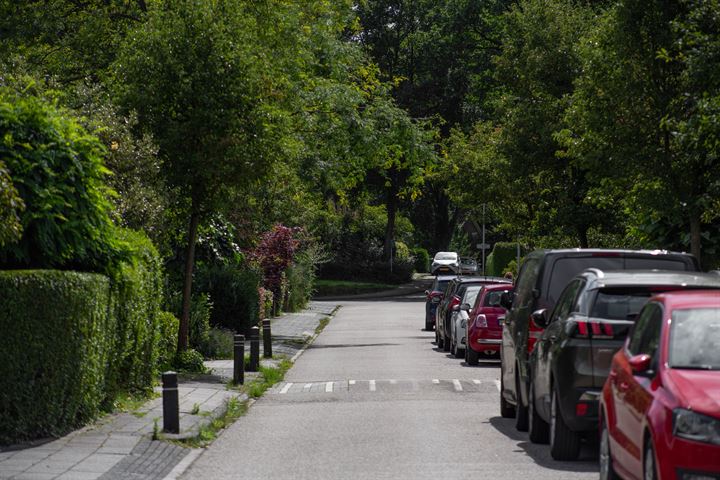 Bekijk foto 31 van Strodorpsweg 33