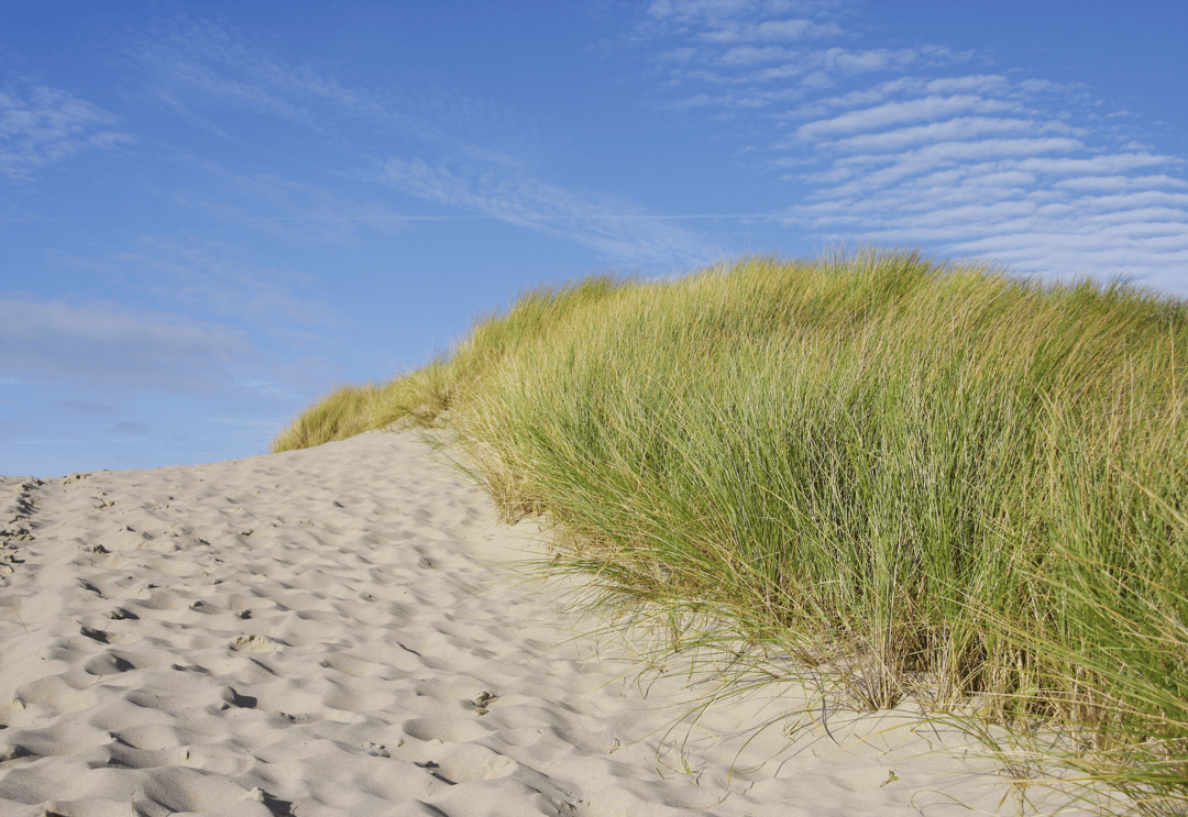 Foto 17 van Kramersweg 7 (bwnr 36)