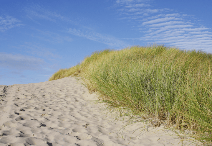 Foto 17 van Kramersweg 7 (bwnr 36)