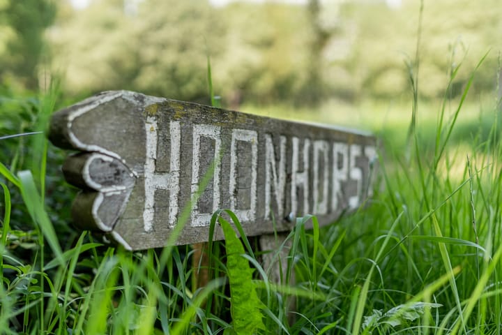 Foto 62 van Oude Vechtsteeg 2