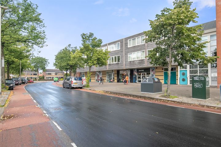 Bekijk foto 31 van Insulindestraat 11