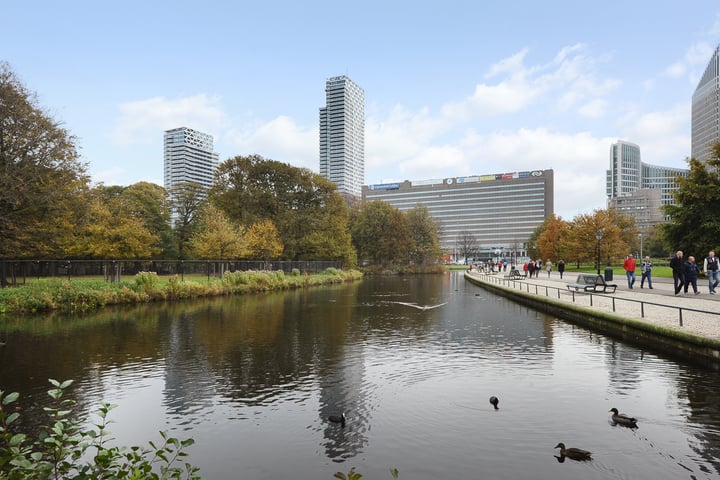 Anna van Buerenplein 203
