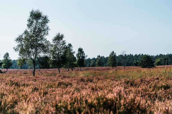 Bekijk foto 33 van Prof. Röntgenstraat 8-B10