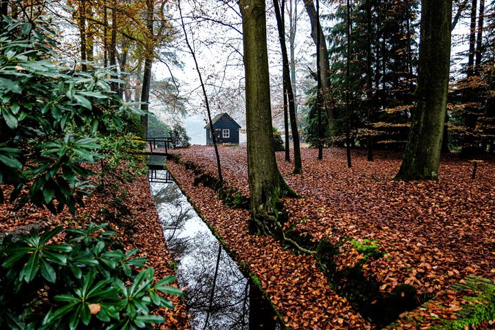 Bekijk foto 40 van Prof. Röntgenstraat 8-B10