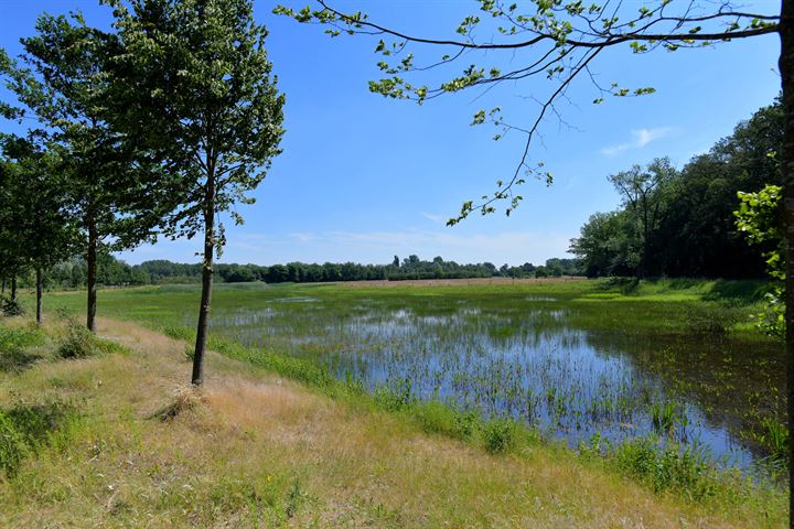 Bekijk foto 34 van Olthoflaan 27