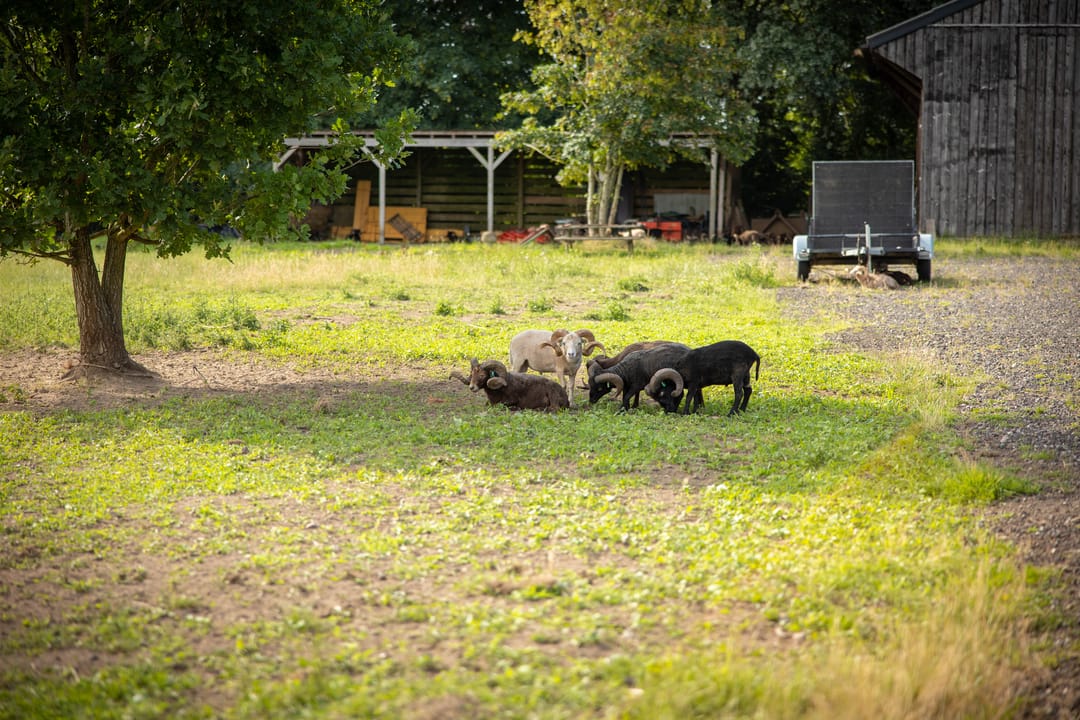 Foto 61 van Zandweteringpad 6