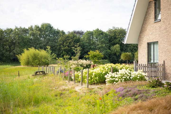 Foto 48 van Zandweteringpad 6