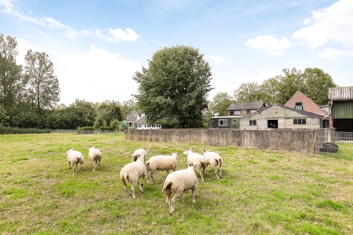 Bekijk foto 44 van Westerweg 36