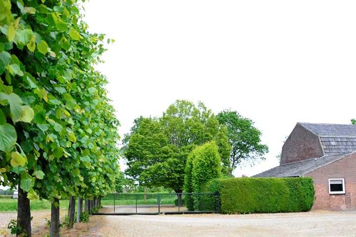 Bekijk foto 18 van Tongerveldweg 27