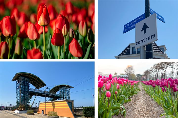 Bekijk foto 68 van 1e Loosterweg 38-A