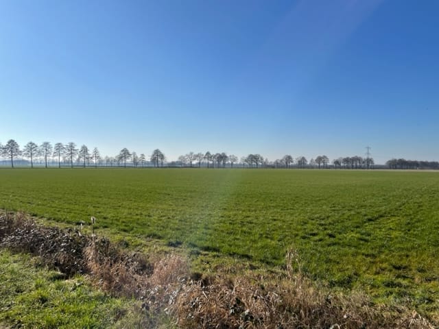 Foto 3 van Biesthoek, kavel 2